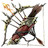 Marksman